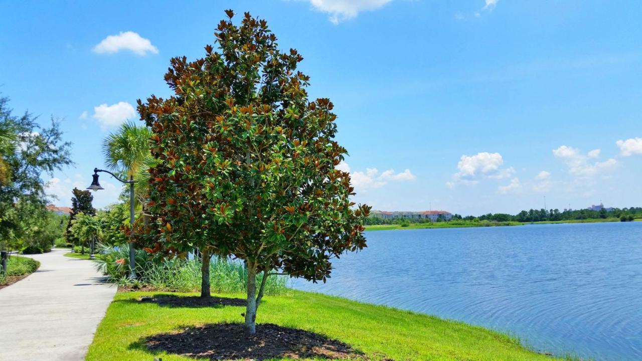 Spacious Condo In Vista Cay Resort Luxury Awaits Orlando Exteriör bild